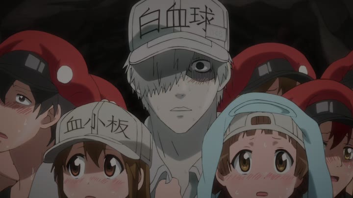 Cells at Work! (Dub) Episode 011